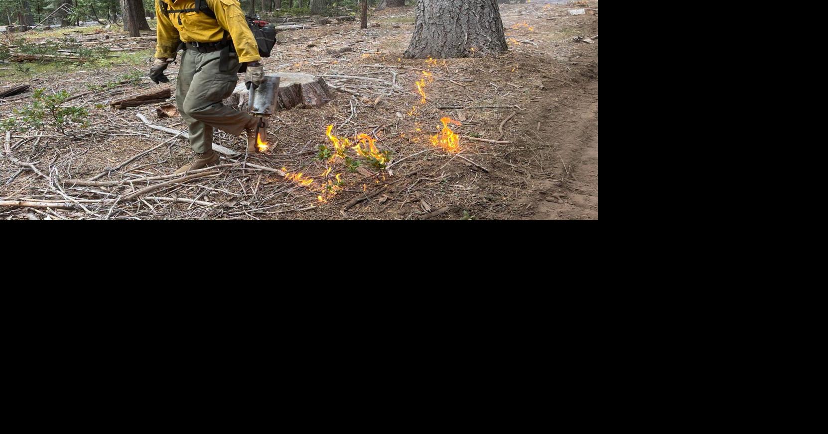 759 acres set for controlled burns across Shasta-Trinity forest ...