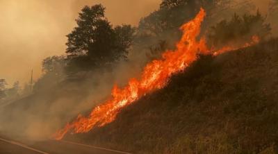 McKinney Fire roadside flames July 2022.png