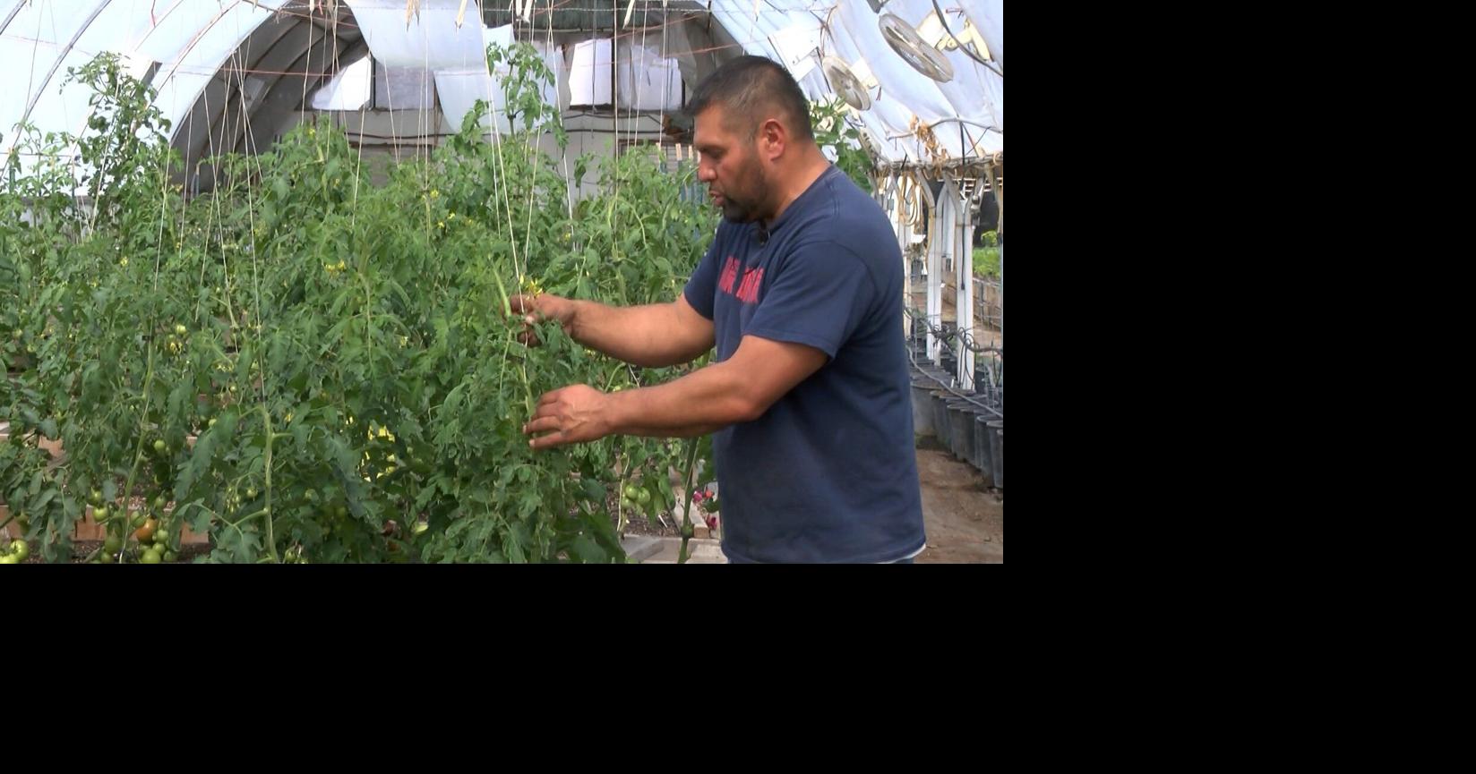 Water crisis drives worst Klamath Basin farming conditions in over 100 years