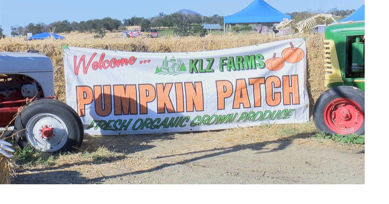 KLZ Farms launches pumpkin patch season with monster truck rides and ...