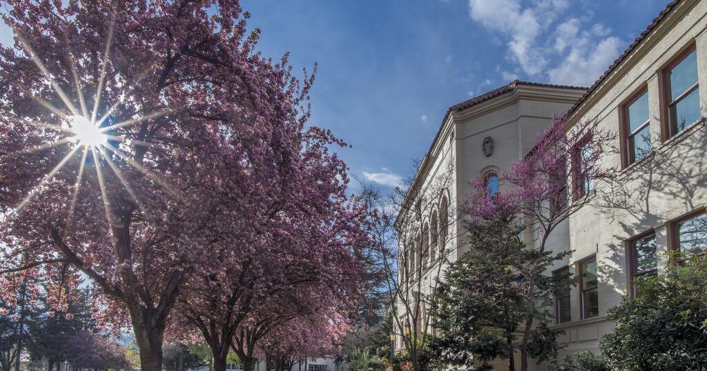 644ff5029b238.image.jpg?crop=1024,538,0,