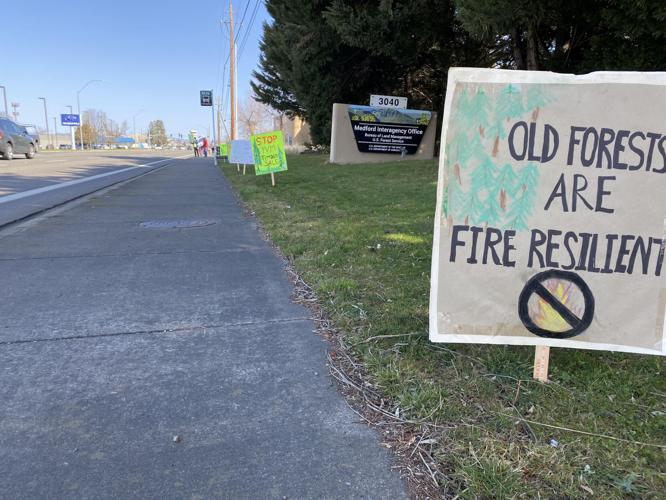 Protesters rally against plan to cut down Grants Pass trees Top
