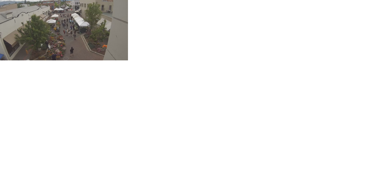 681d0839a25bc.image.png?crop=1280,672,0,23&resize=438,230&order=crop,resize