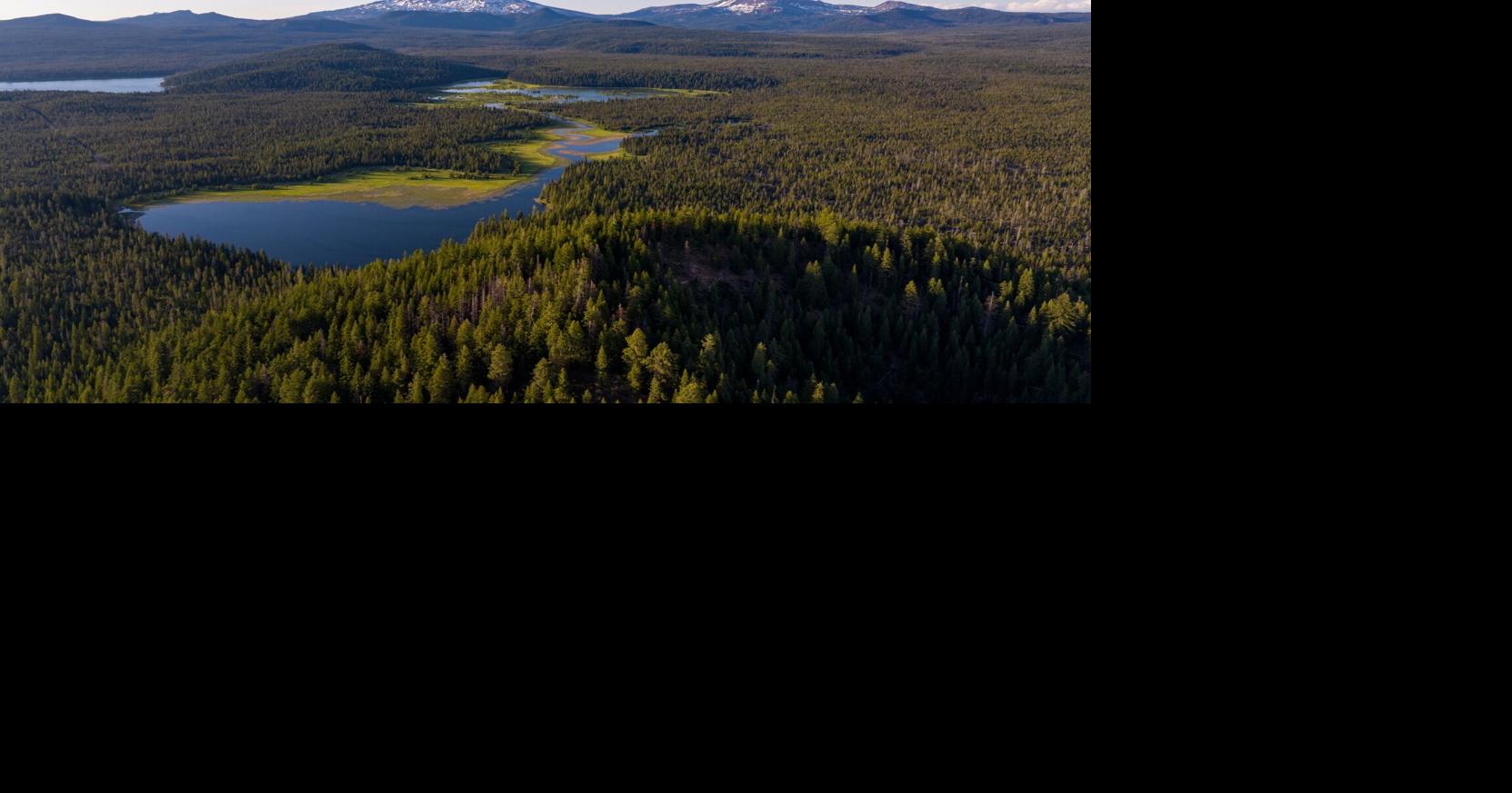 69fce67b336b6.image.jpg?crop=1663,873,0,