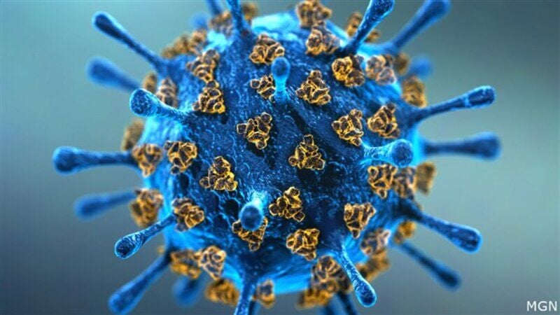 Coronavirus Watch blue virus