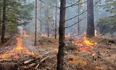 High Cascades prescribed burns.jpg