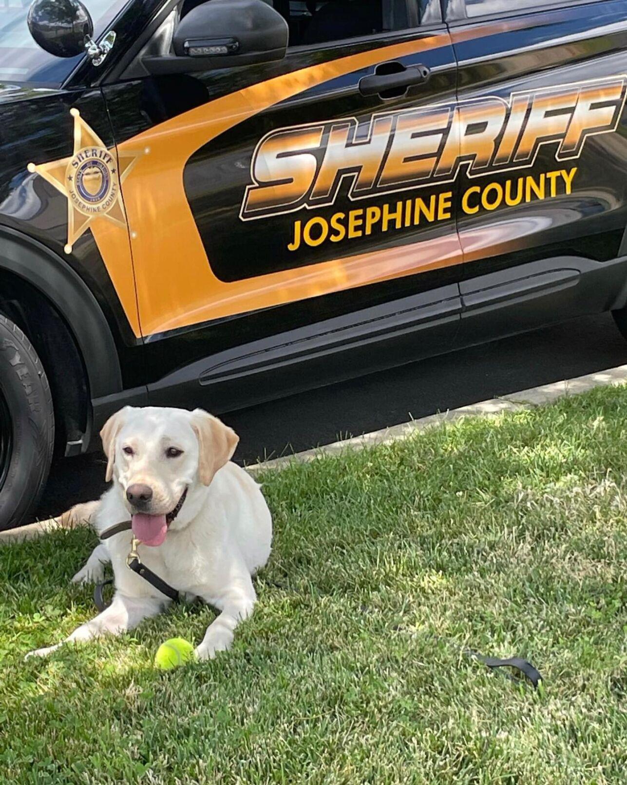 Josephine County Inmates - 2vlf0i0