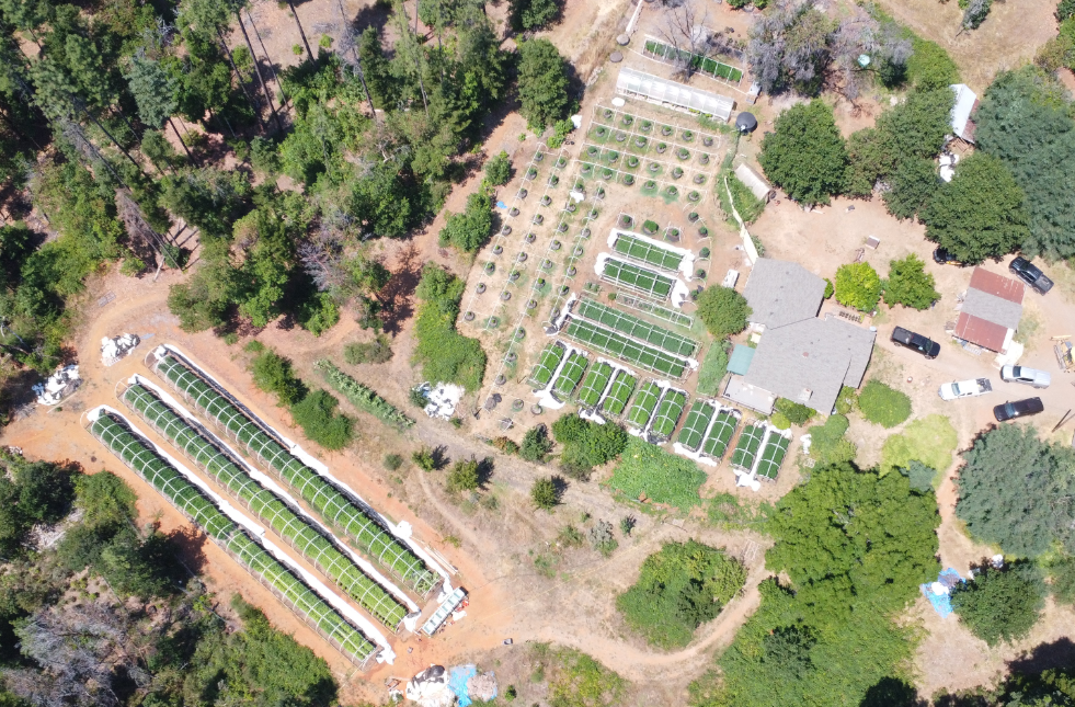 Josephine County warrants get 39,000 plants might get properties News