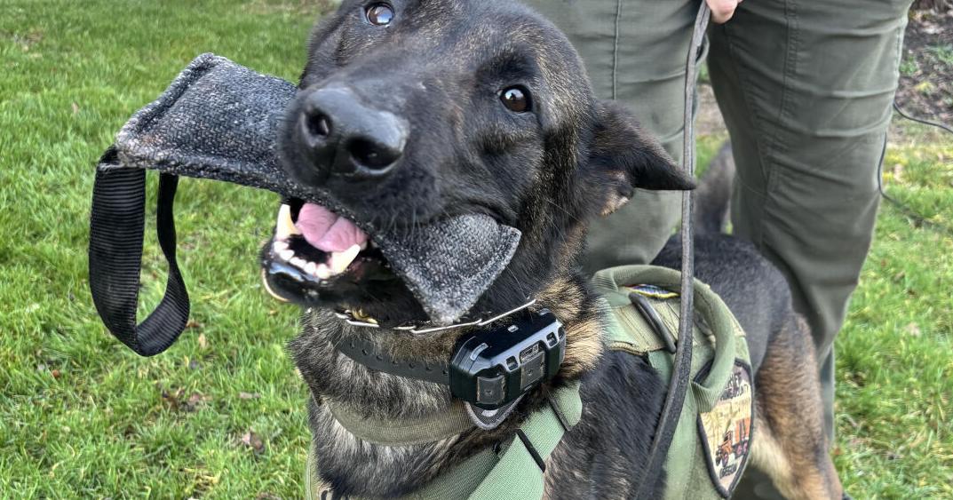 681006a322e93.image.jpg?crop=1073,563,51