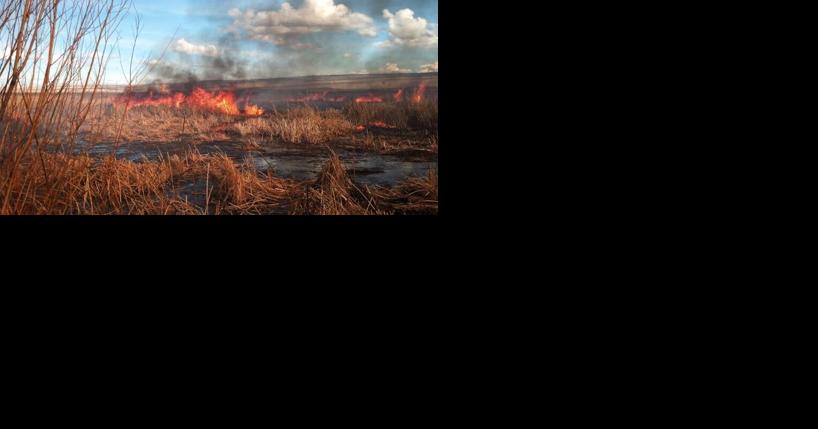 ODF plans prescribed burn near Midland, Klamath Falls Thursday - Vimarsana News