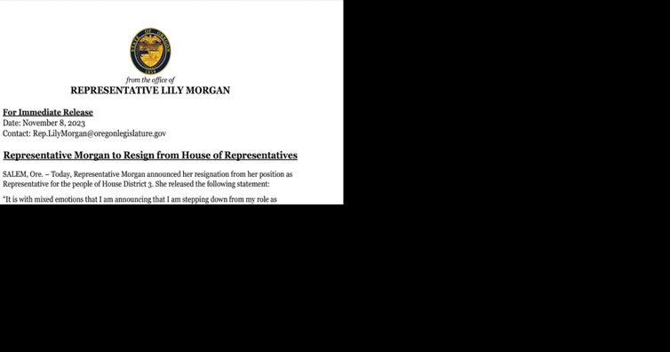 State Representative Lily Morgan resigning her House Distrct 3 seat - Vimarsana News