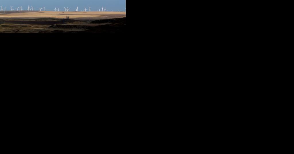 More than two dozen Oregon lobbyists work for both sides on climate change, report finds - Vimarsana News