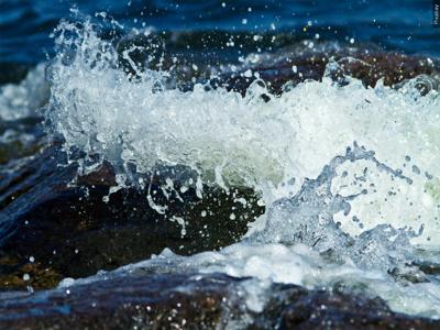 WAVES MGN