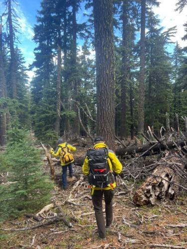 Multiple agencies search for a child who went missing at Crater Lake in ...