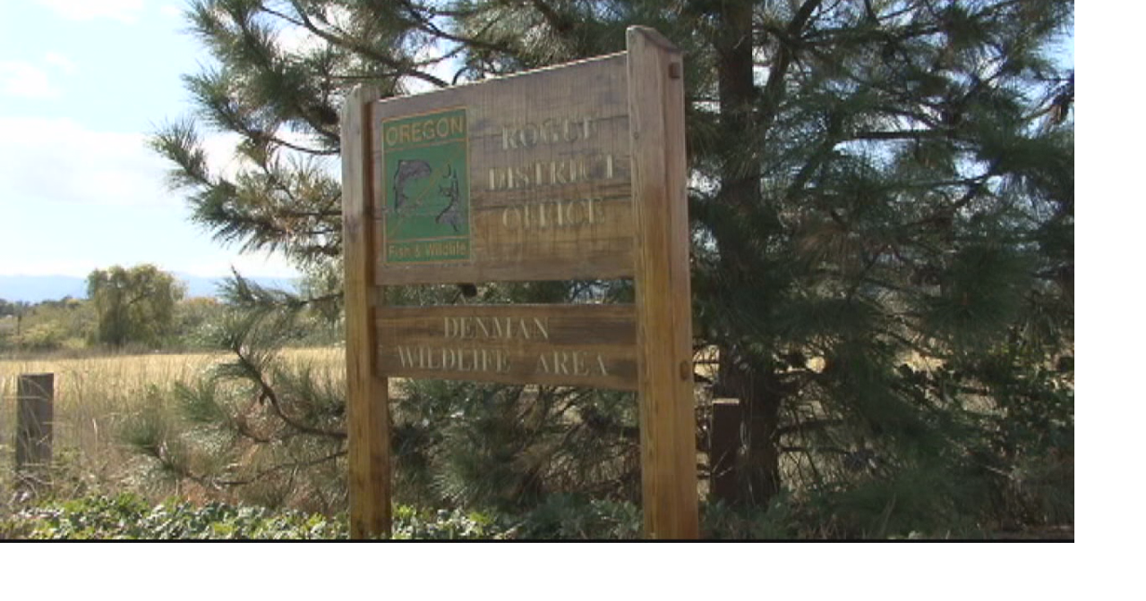 69a0e57807eef.image.png?crop=1280,672,0,