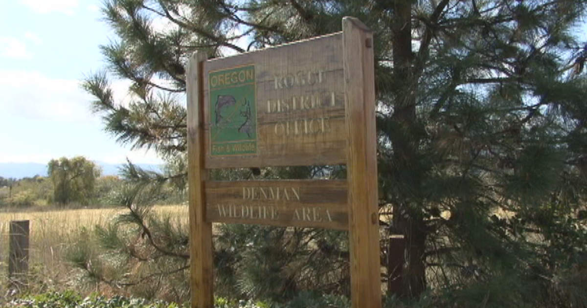 69a0e57807eef.image.png?crop=1280,672,0,