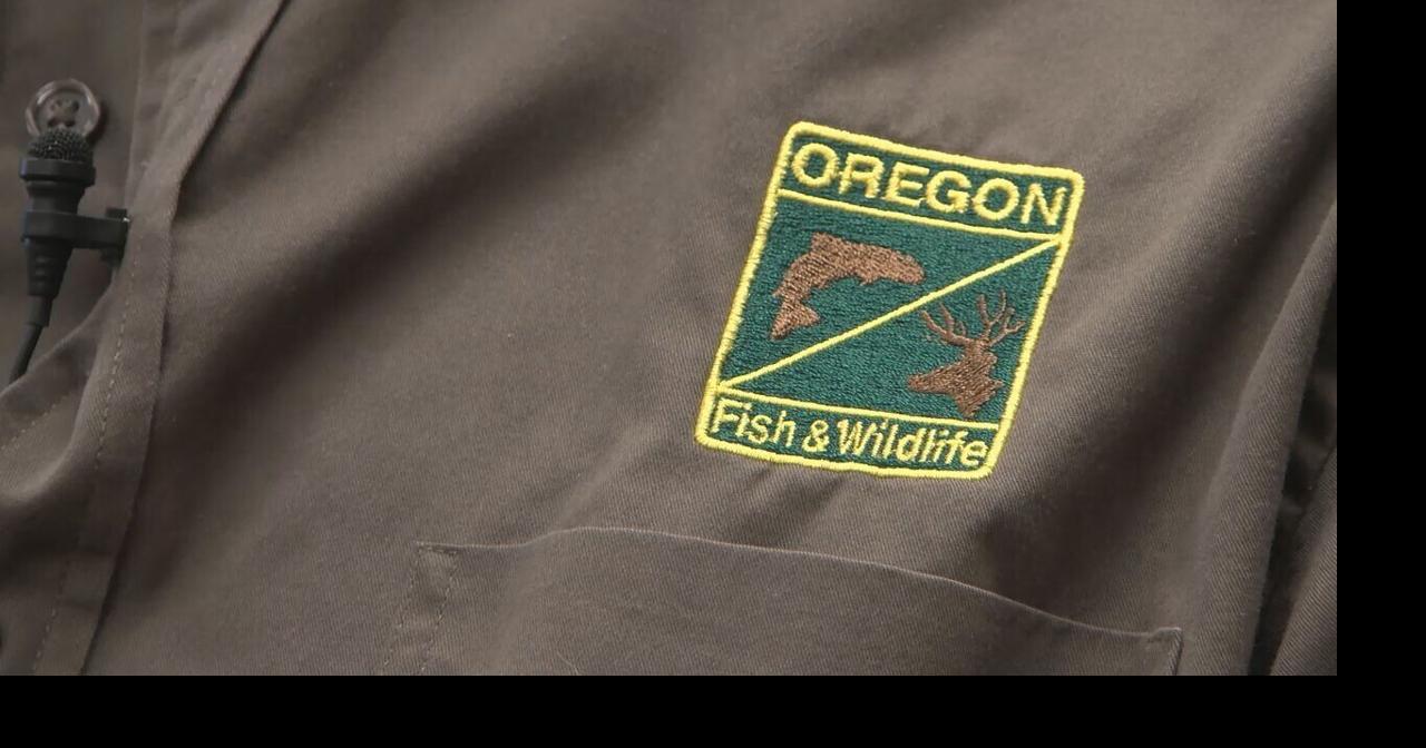 Oregon Fish and Wildlife Commission adopts changes to sea urchin ...
