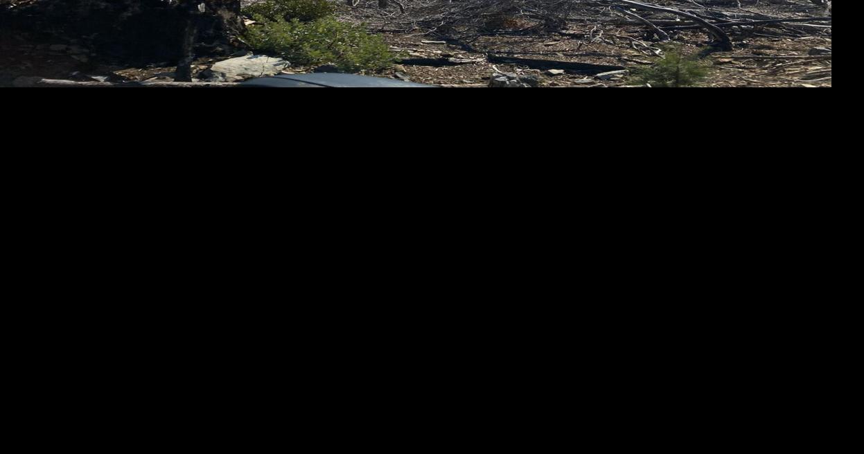 6974394e6b9bb.image.jpg?crop=1247,655,0,