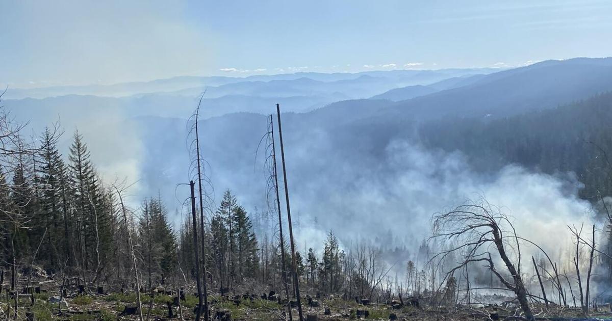 6974394e6b9bb.image.jpg?crop=1247,655,0,