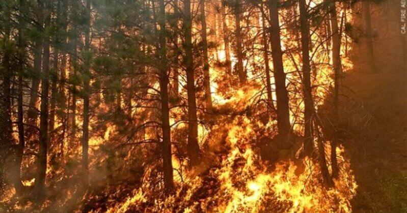 Fire danger level rising to "extreme" in Jackson and Josephine counties ...