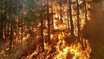 FireWatch: Forest Service temporarily closes all California national forests amid extreme fire danger