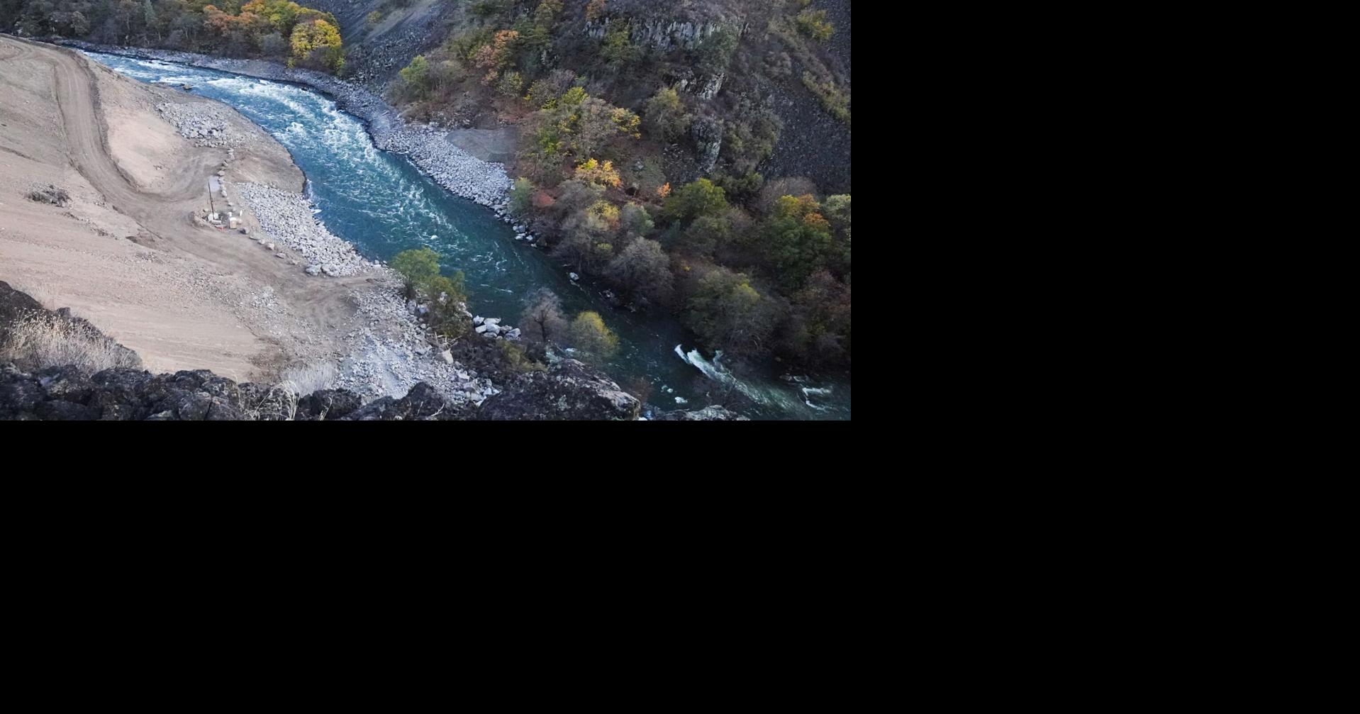 Encouraging signs of recovery being shown at the Klamath River | Local ...