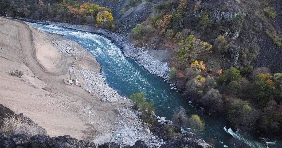 Encouraging signs of recovery being shown at the Klamath River | Local ...