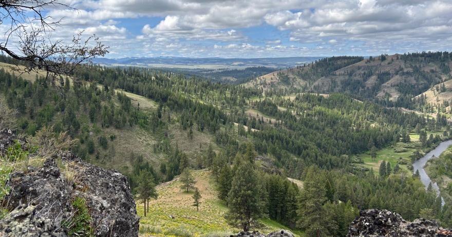 Wildlife project stalled: Qapqápa land deal hits roadblock in Oregon