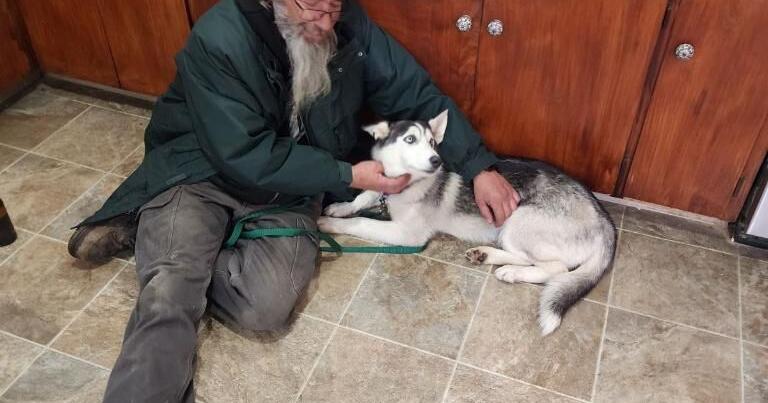 Missing dog found after days lost in winter storm - Vimarsana News