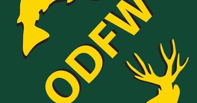 ODFW reaches out to public about Oregon Conservation Strategy revisions | Top Stories ODFW reaches out to public about Oregon Conservation Strategy revisions | Top Stories