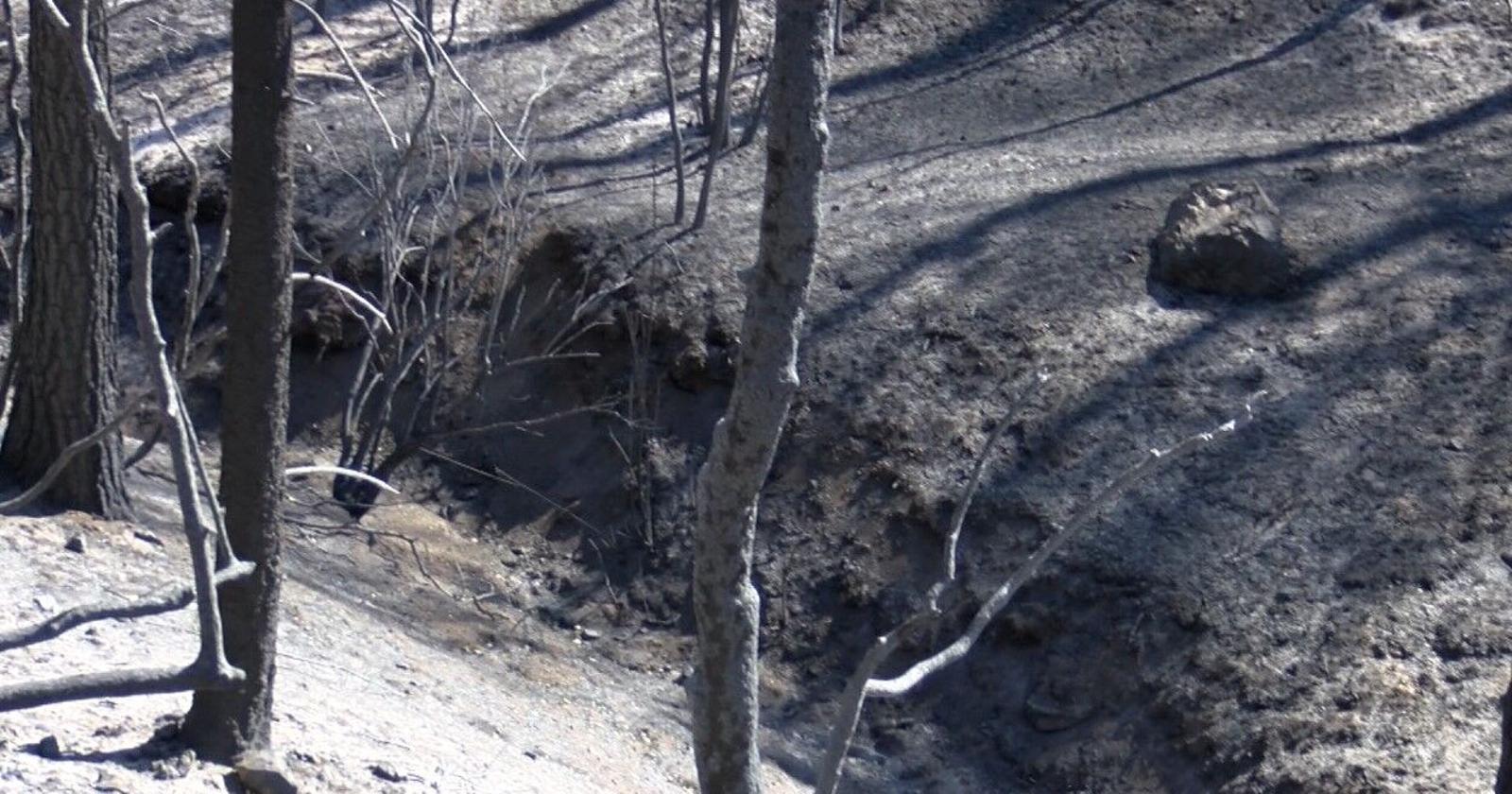 6323b95250c8c.image.jpg?crop=1249%2C656%2C0%2C25&resize=1200%2C630&order=crop%2Cresize