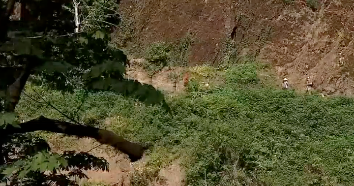 Oregon father of 5 dies after fall from Multnomah Falls trail - Vimarsana News