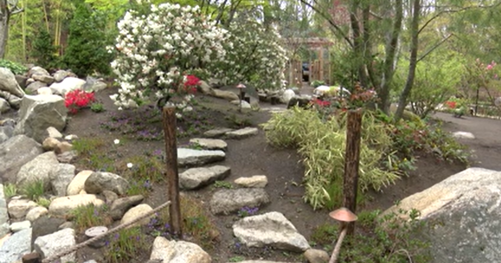 Ashland Japanese Garden reopens