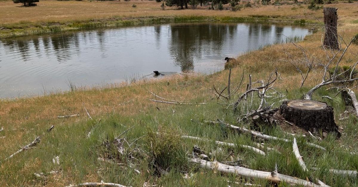 69c32091ad898.image.jpg?crop=1249,656,0,