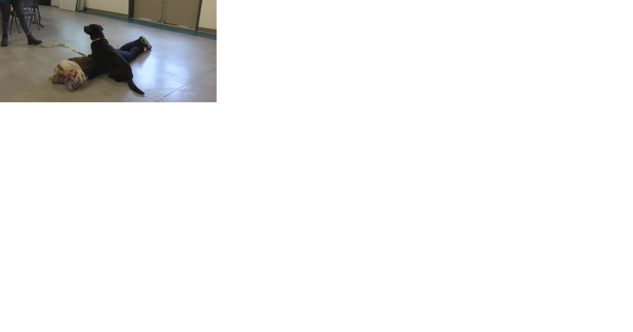 A look into service dogs getting trained in southern Oregon - Vimarsana News
