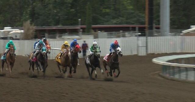Southern Oregon Horse Racing Association working to save horse racing in Southern Oregon this summer - Vimarsana News
