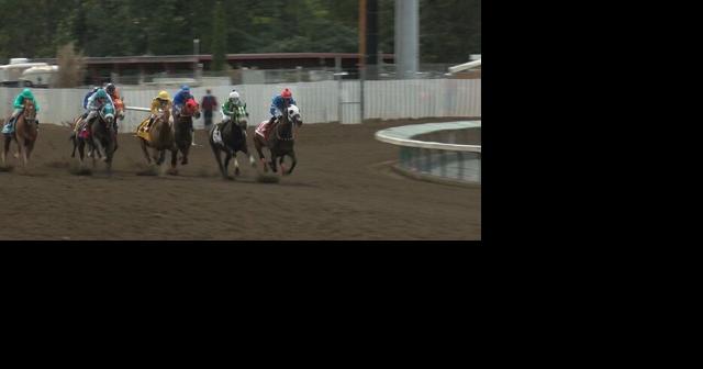 Southern Oregon Horse Racing Association working to save horse racing in Southern Oregon this summer - Vimarsana News