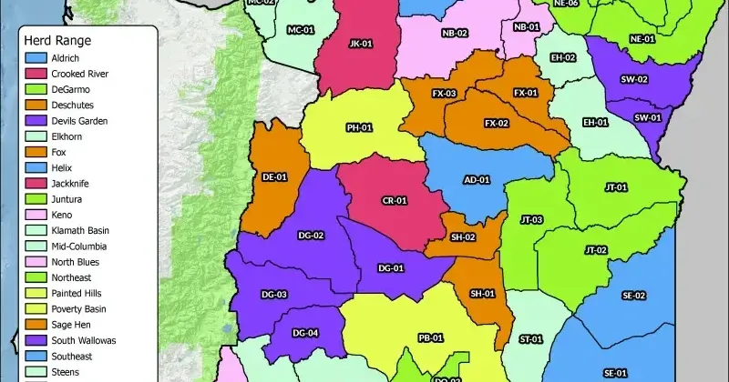 69fe2d722a71e.image.webp?crop=800,420,0,
