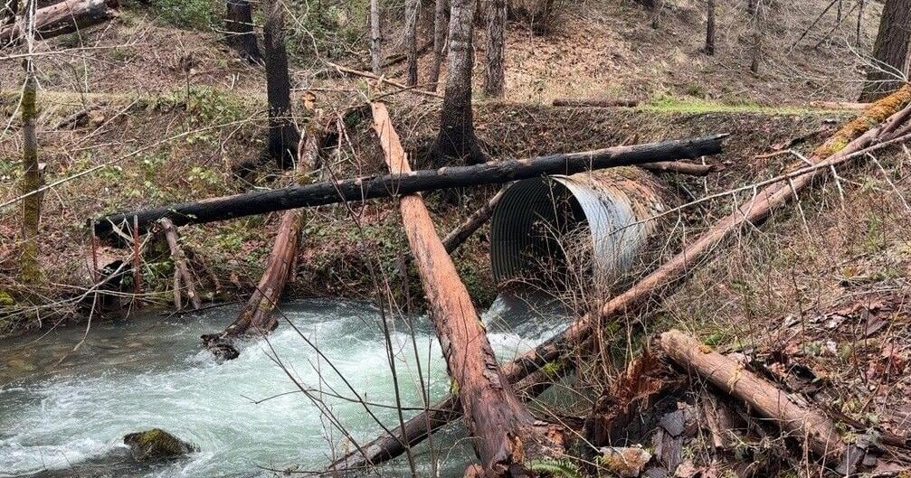Oregon awards $3M to speed up forest restoration in fire-prone areas