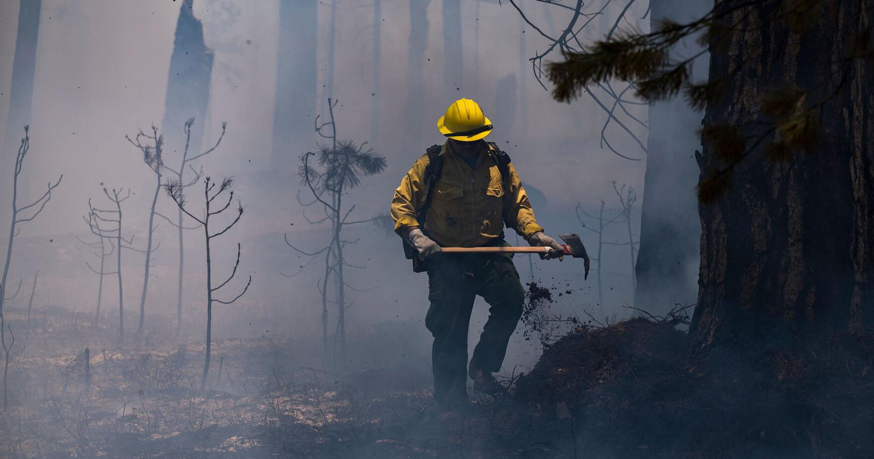 Firefighters are gaining ground in the fight to protect Yosemite's giant sequoias. But the weather is not helping - Vimarsana News
