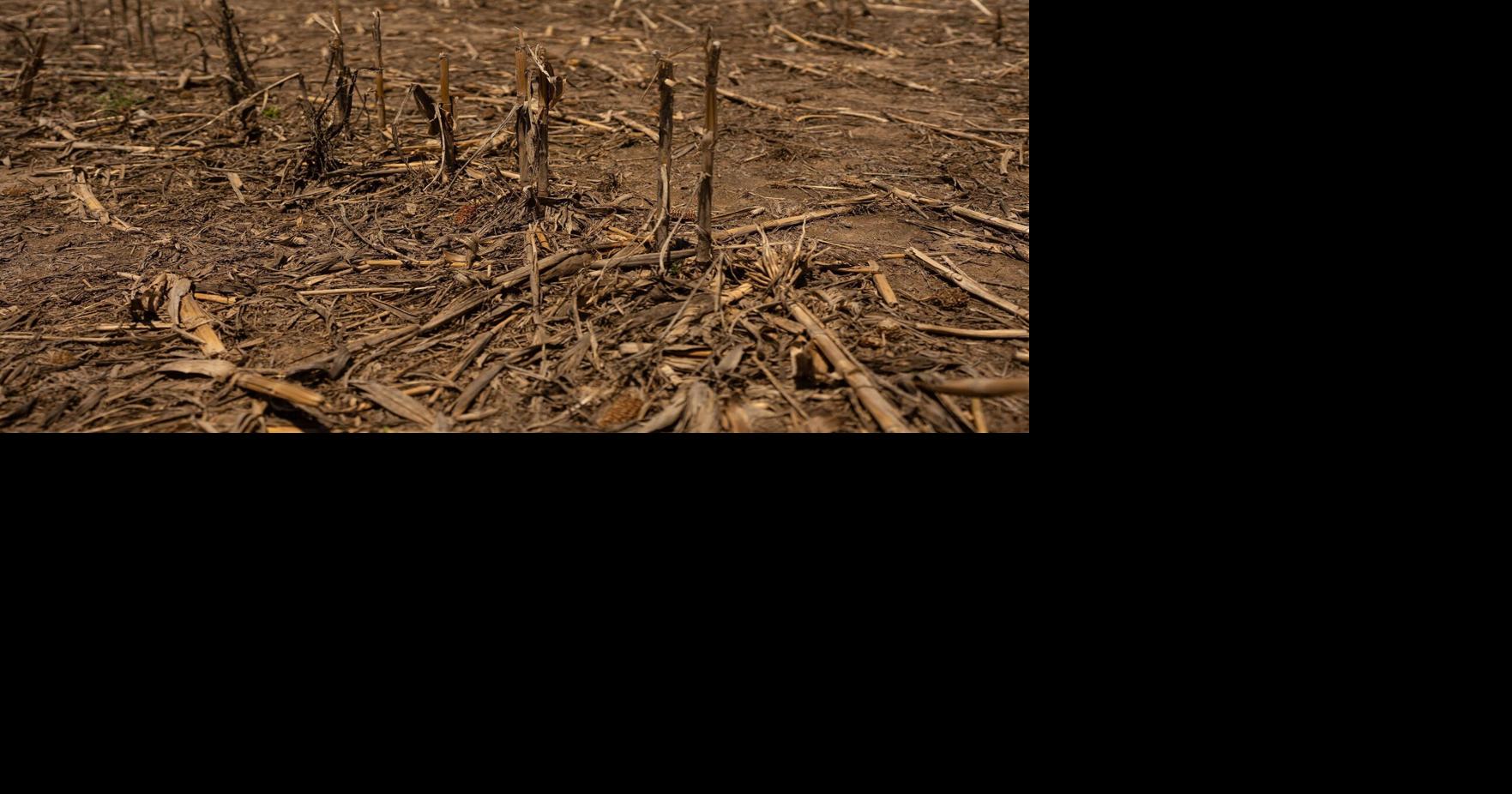 6797d40dc05e5.image.jpg?crop=1763%2C926%