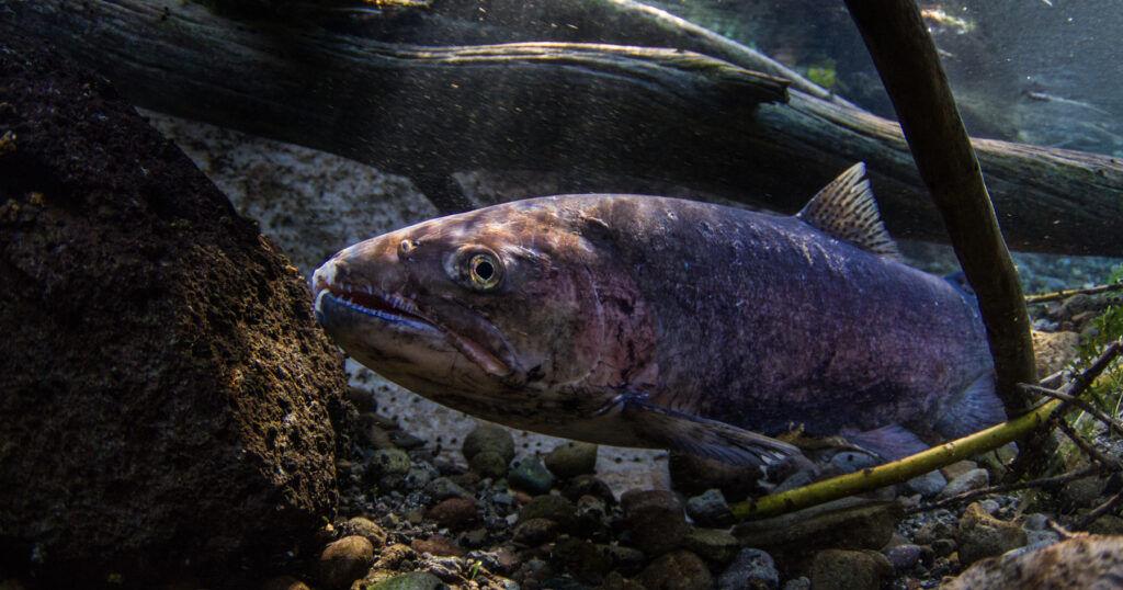 67f0068383a4d.image.jpg?crop=1024,538,0,