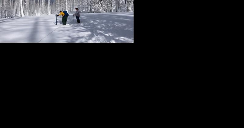 Klamath National Forest says snowpack depth and density are below average - Vimarsana News