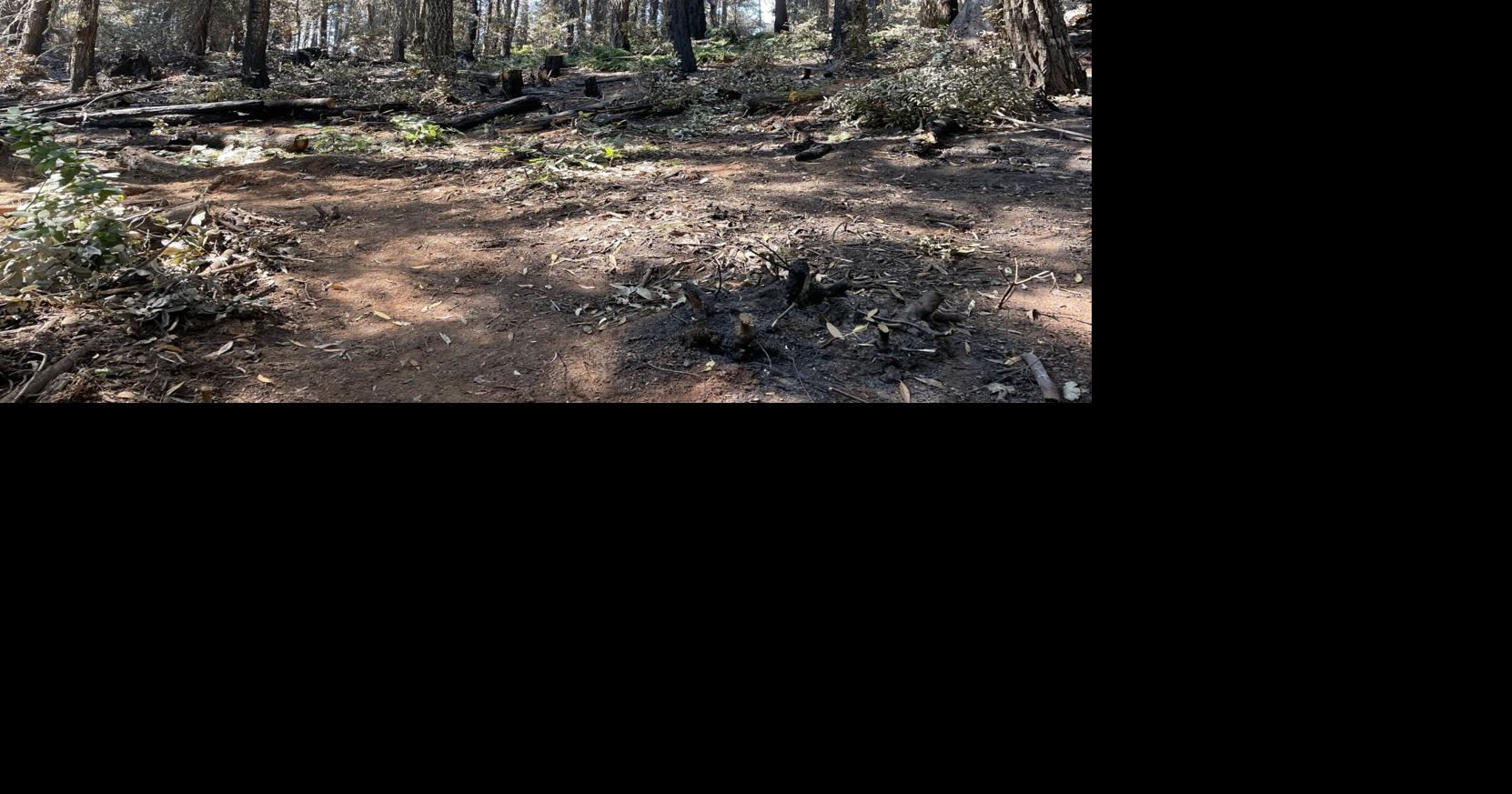 Rum Creek Fire Firefighters battling last section of containment