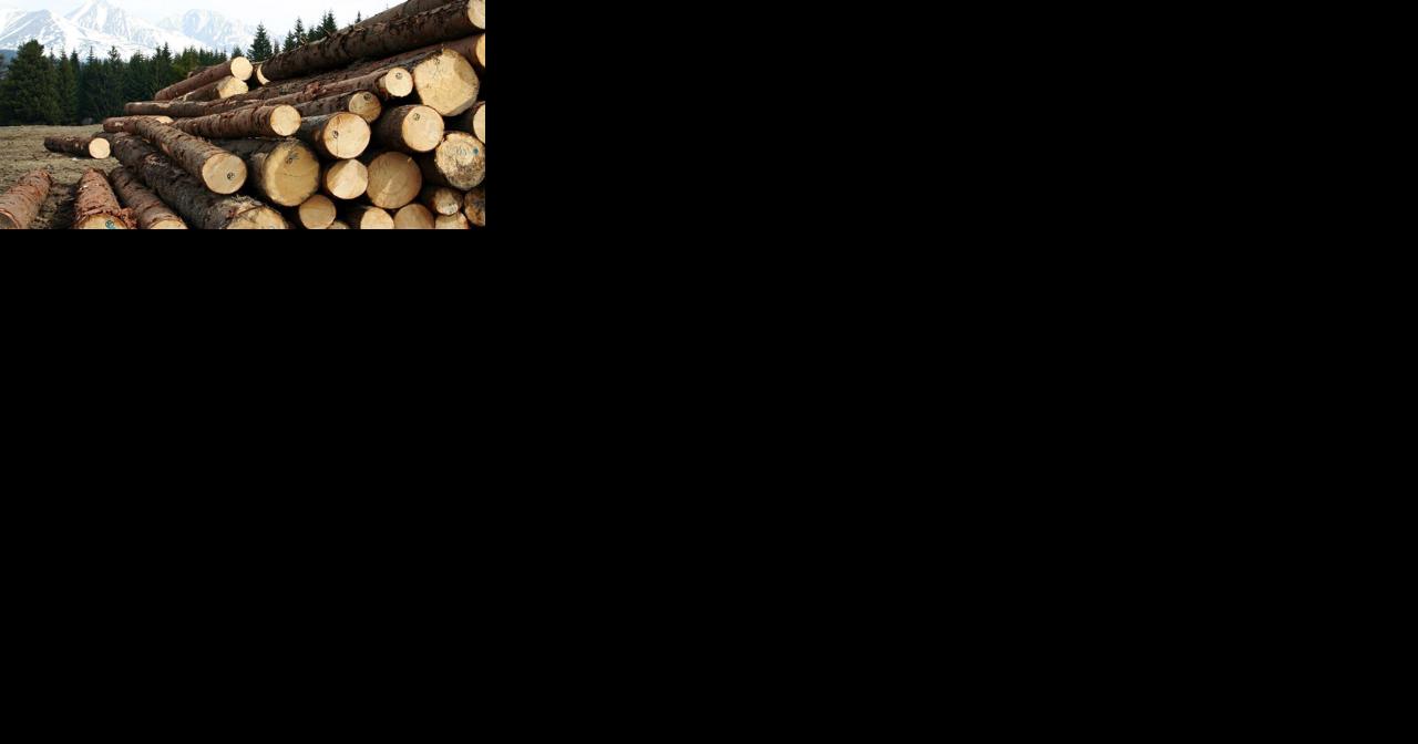 Proposed tax for timber companies would pay for wildfire prevention, response - Vimarsana News