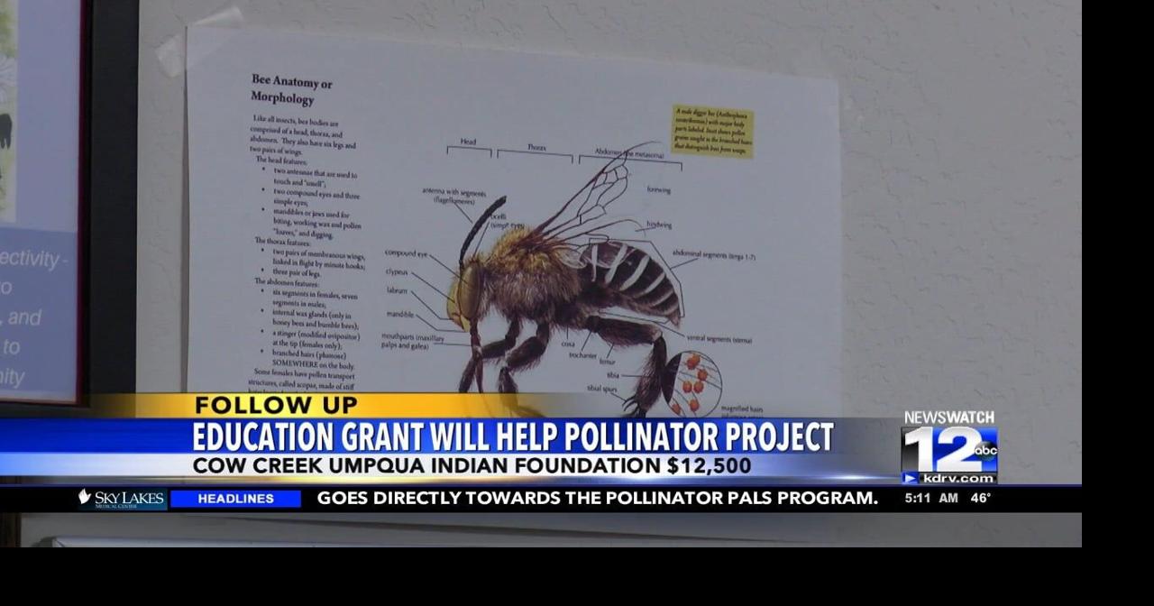Education grant will help Pollinator Project | Video | kdrv.com