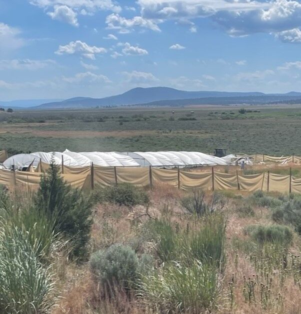 Klamath County Sheriff's Office shuts down illegal marijuana grow near ...