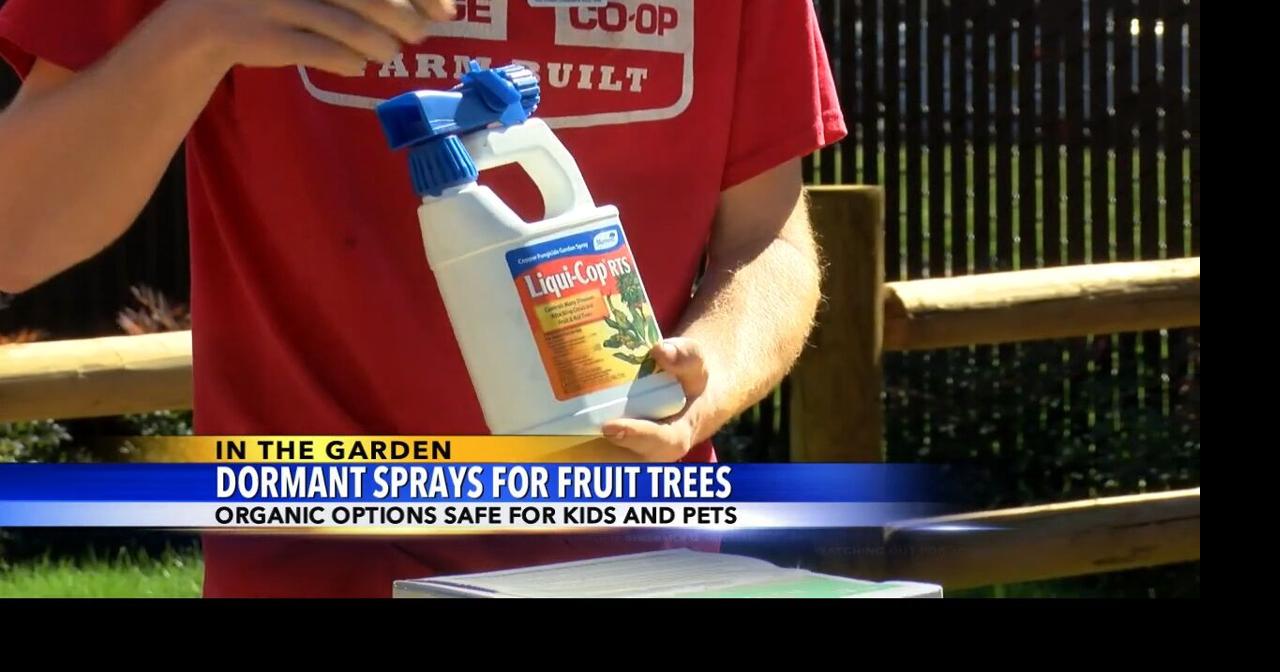 In The Garden Dormant sprays for fruit trees In The Garden
