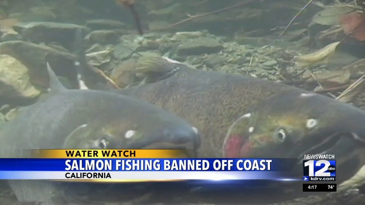 Salmon fishing is banned off the California coast for the second