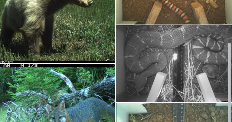 New framework monitors climate impact on California nature